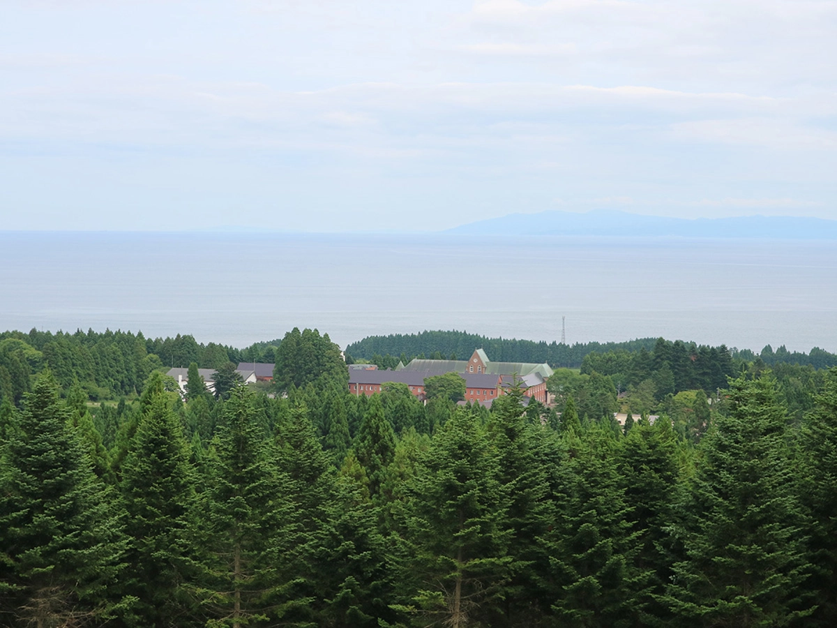 作品メイン画像